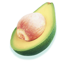 Avocado