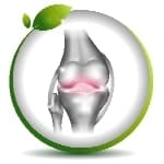 OSIGURAVA HOLISTIČKU OBNOVU ORGANIZMA