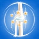 OBNAVLJA OŠTEĆENE ZGLOBOVE I MIŠIĆE