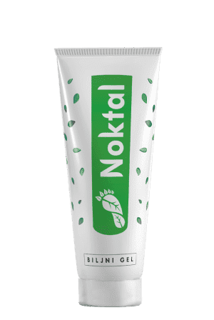 Noktal